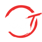 100 Thieves's logo